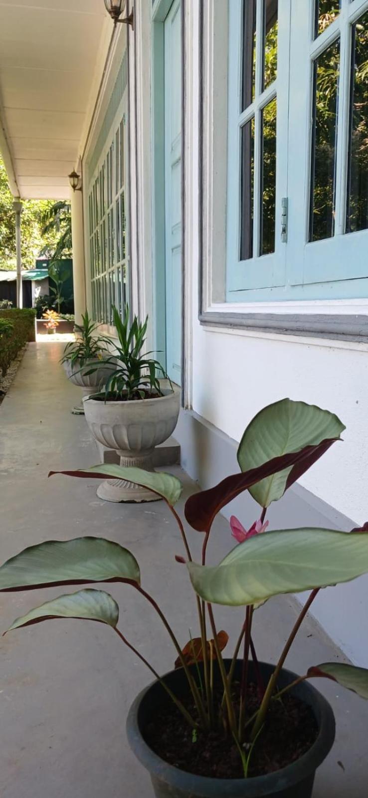 Villa Peace Heaven กอลล์ ภายนอก รูปภาพ